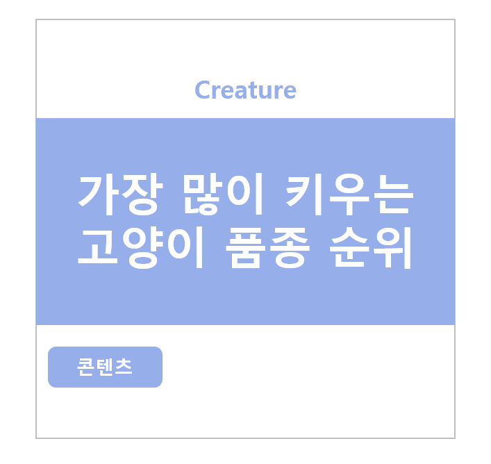 가장 많이 키우는 고양이 품종 순위
