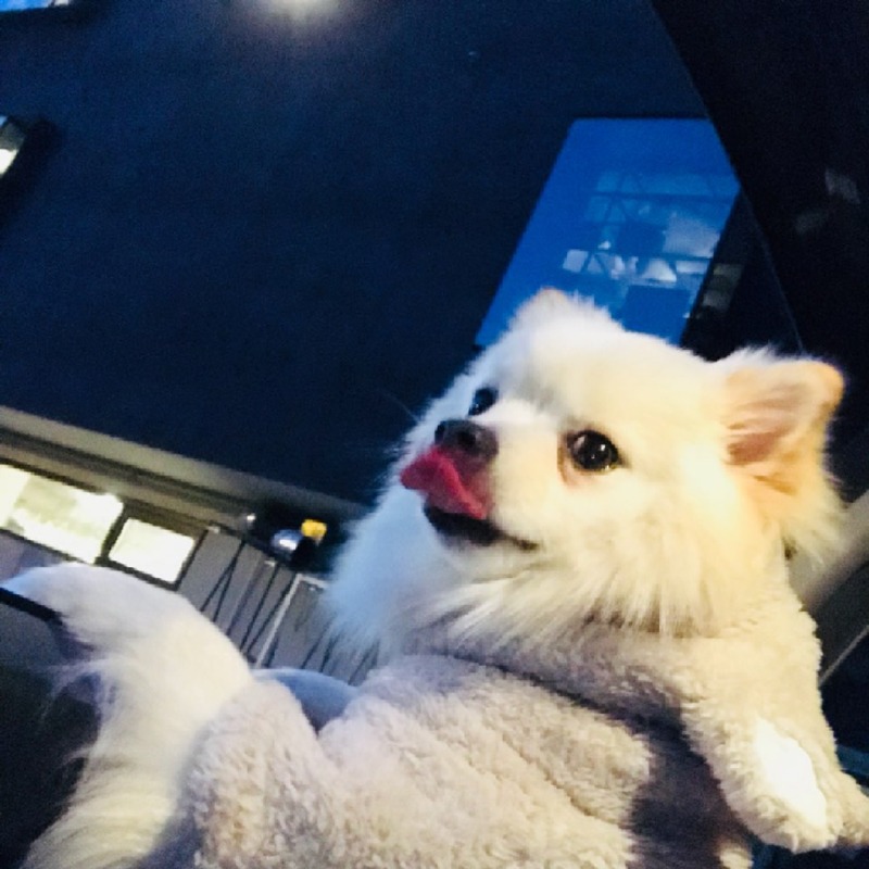 콩이