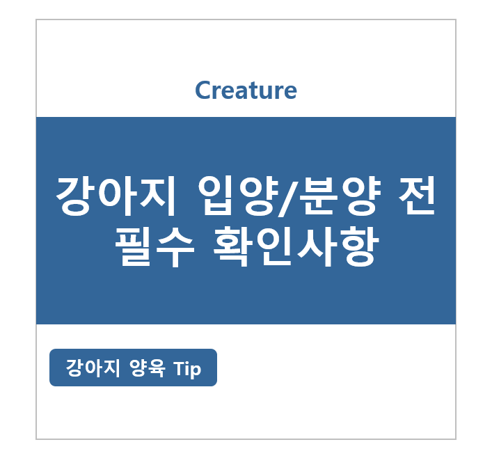 강아지 입양/분양 전 확인사항