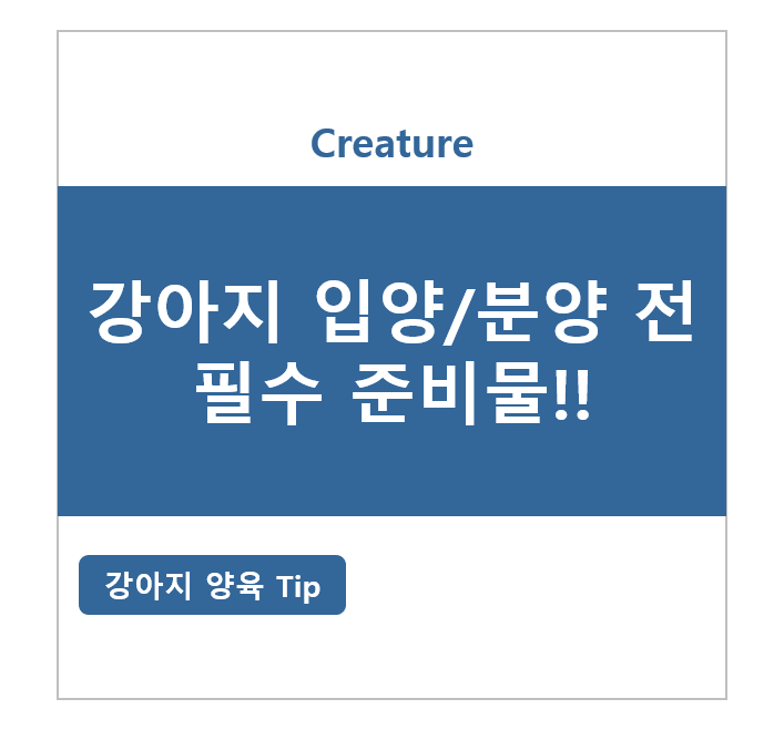 강아지 입양/분양 전 필수 준비물!