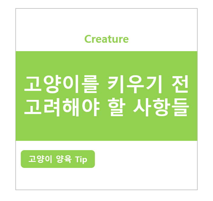 고양이를 키우기 전 반드시 알아야 할 고려사항 