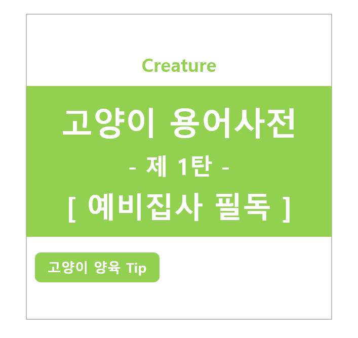 고양이 예비 집사라면 필독해야 할 고양이 용어사전! - 1탄