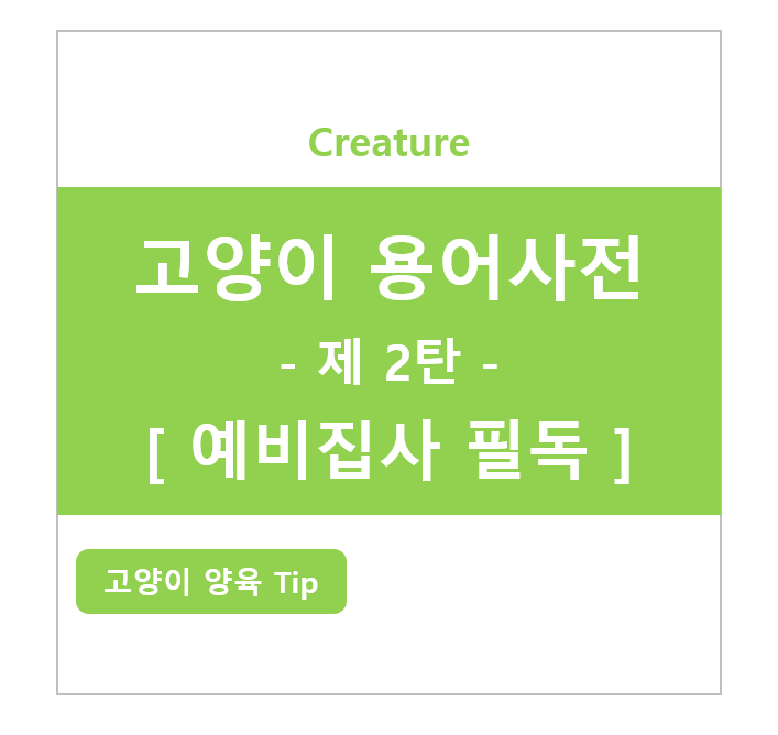 고양이 예비 집사라면 필독해야 할 고양이 용어사전! - 2탄