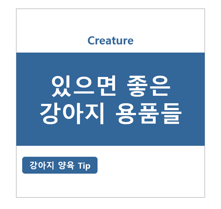 있으면 좋은 강아지 용품들!! 