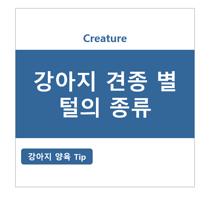 강아지 견종 별 털의 종류!