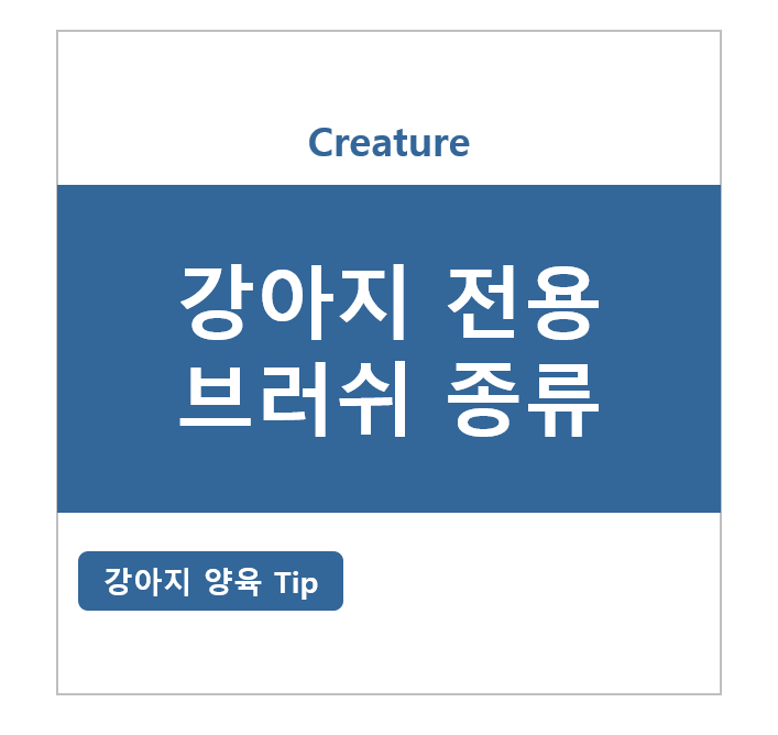 강아지 전용 브러쉬 종류!