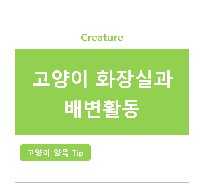고양이 화장실과 배변활동