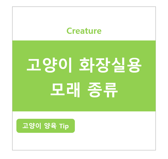 고양이 화장실 전용 모래 종류