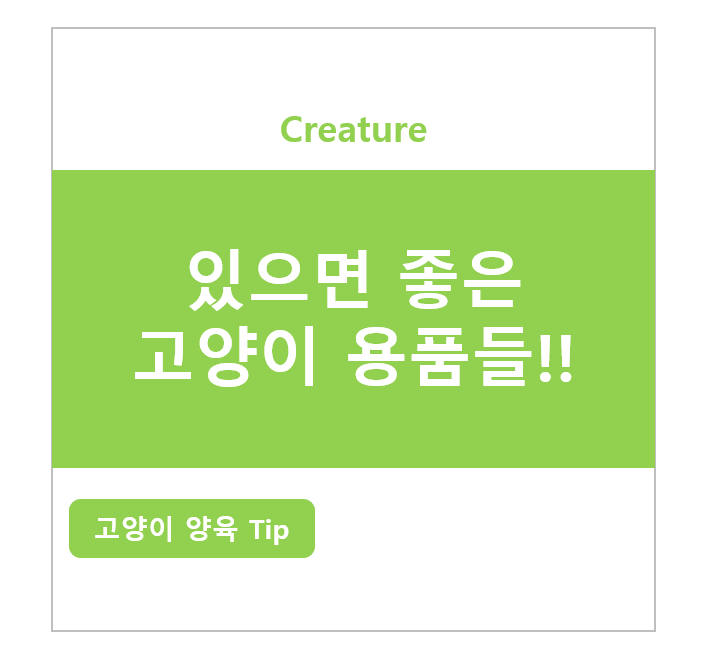 있으면 좋은 고양이 용품들!