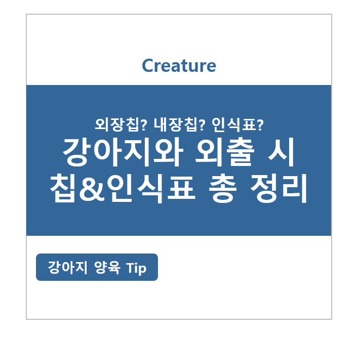 강아지와 외출 시 칩 & 인식표 총정리!
