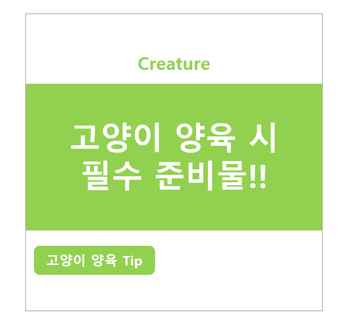 고양이 양육 시 필수 준비물!!