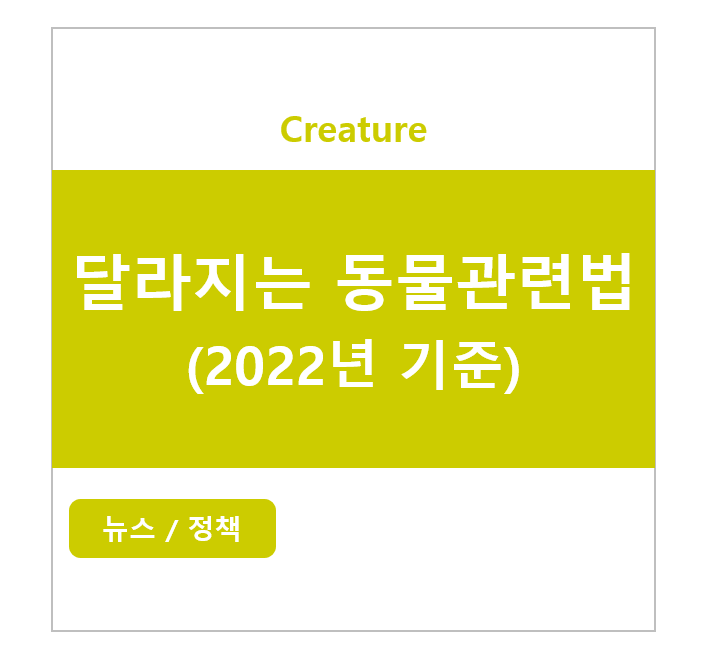 달라지는 동물관런법 - 2022년 기준