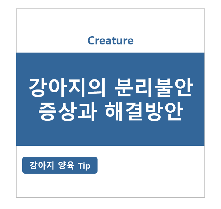 강아지의 분리불안 증상과 해결방안