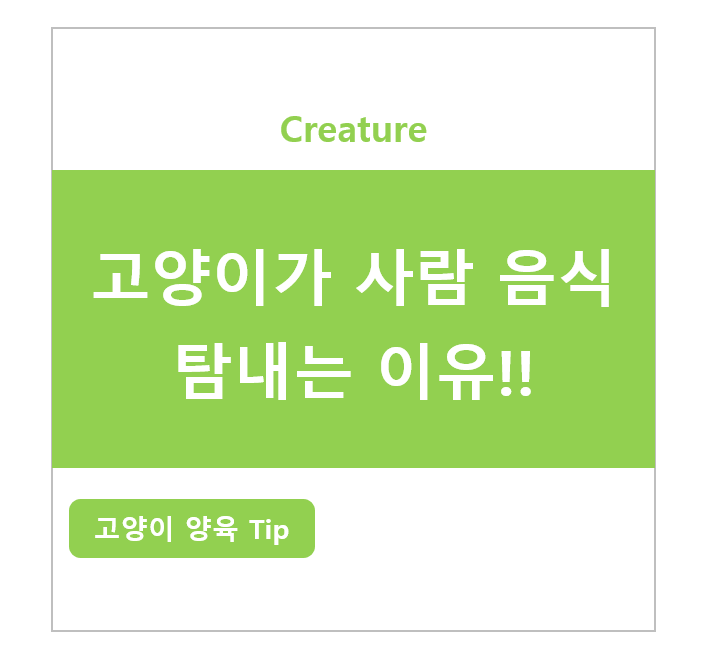 고양이가 사람 음식 탐내는 이유!!
