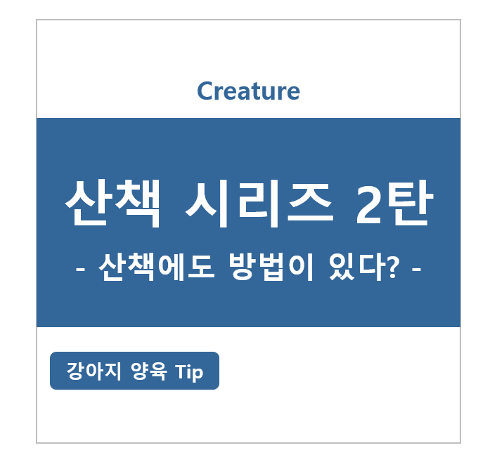 강아지 산책 시리즈 2탄 - 산책에도 방법이 있다???