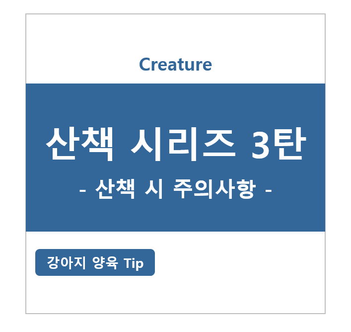 강아지 산책 시리즈 3탄 - 산책 시 주의사항