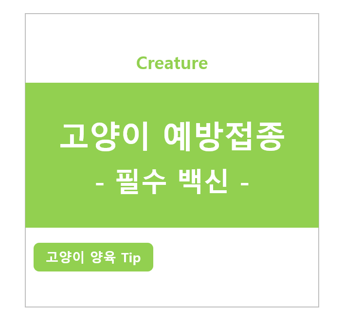 고양이 예방접종