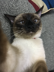 셀카찍기