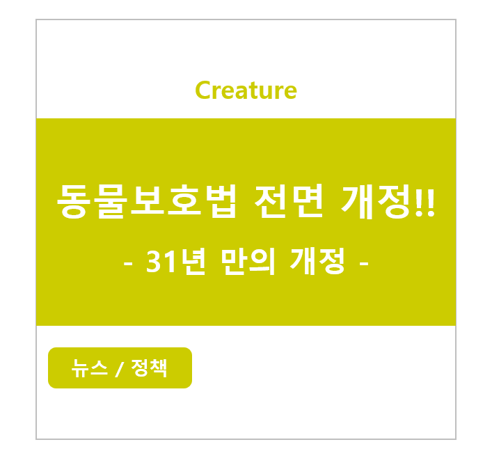 동물보호법 전면 개정! - 31년만의 개정 