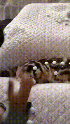아이와 놀아주는 고양이.gif