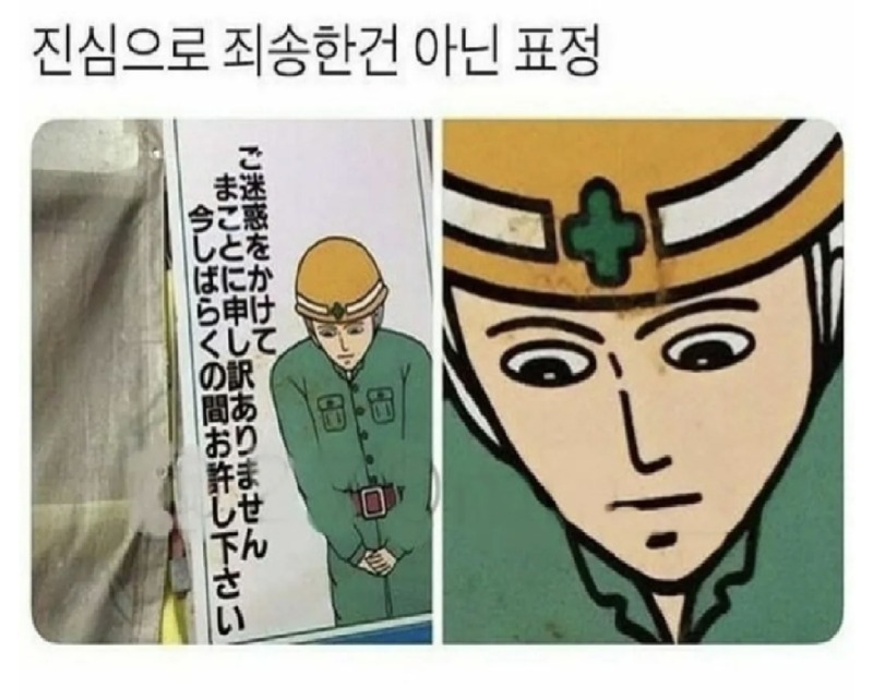 100프로 죄송한건 아닌 표정