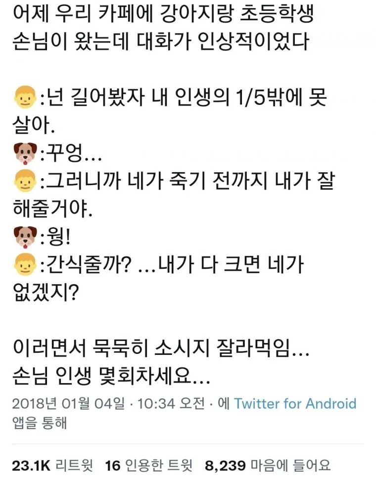 카페에서 강아지랑 초등학생과 대화