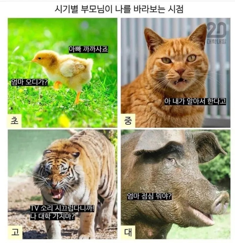 나이 별 부모님이 보는 내 모습