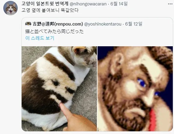 장기예프를 몸속에 봉인시킨 녀석