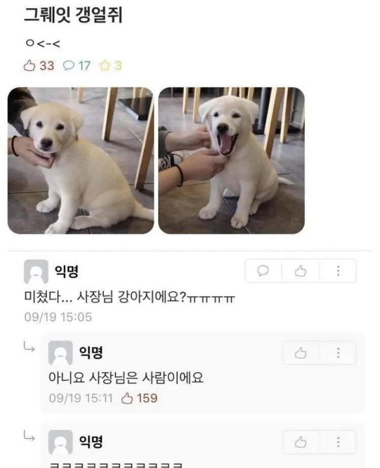 사장님 강아지에요?