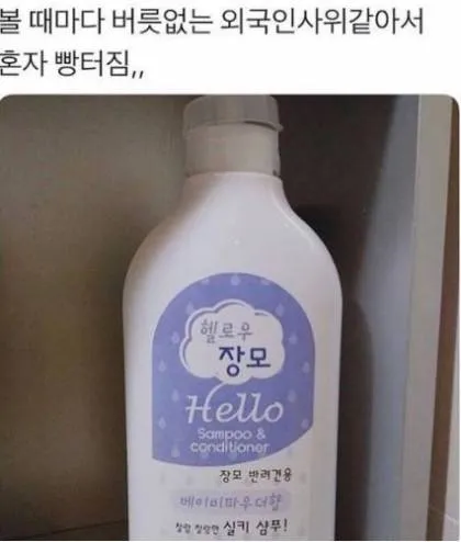 버릇없는 외국인 사위의 말투