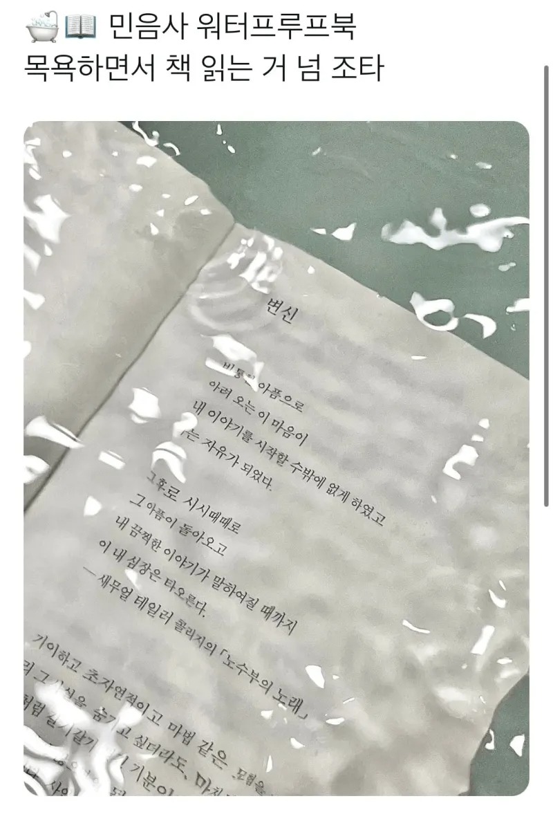 요즘 종이책 근황