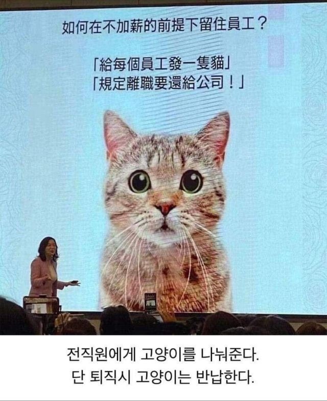 퇴사를 못하게 하는 회사