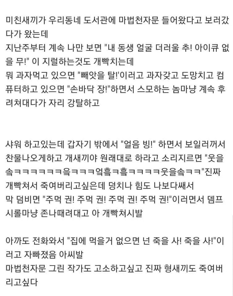마법천자문에 빠진 친 형