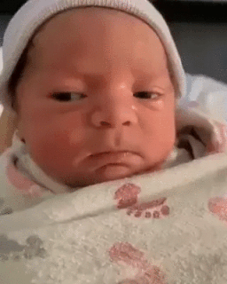 태어나보니 집구석이 마음이 안들 때.gif