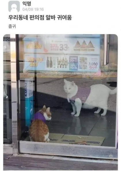 우리동네 편의점 알바 귀여움