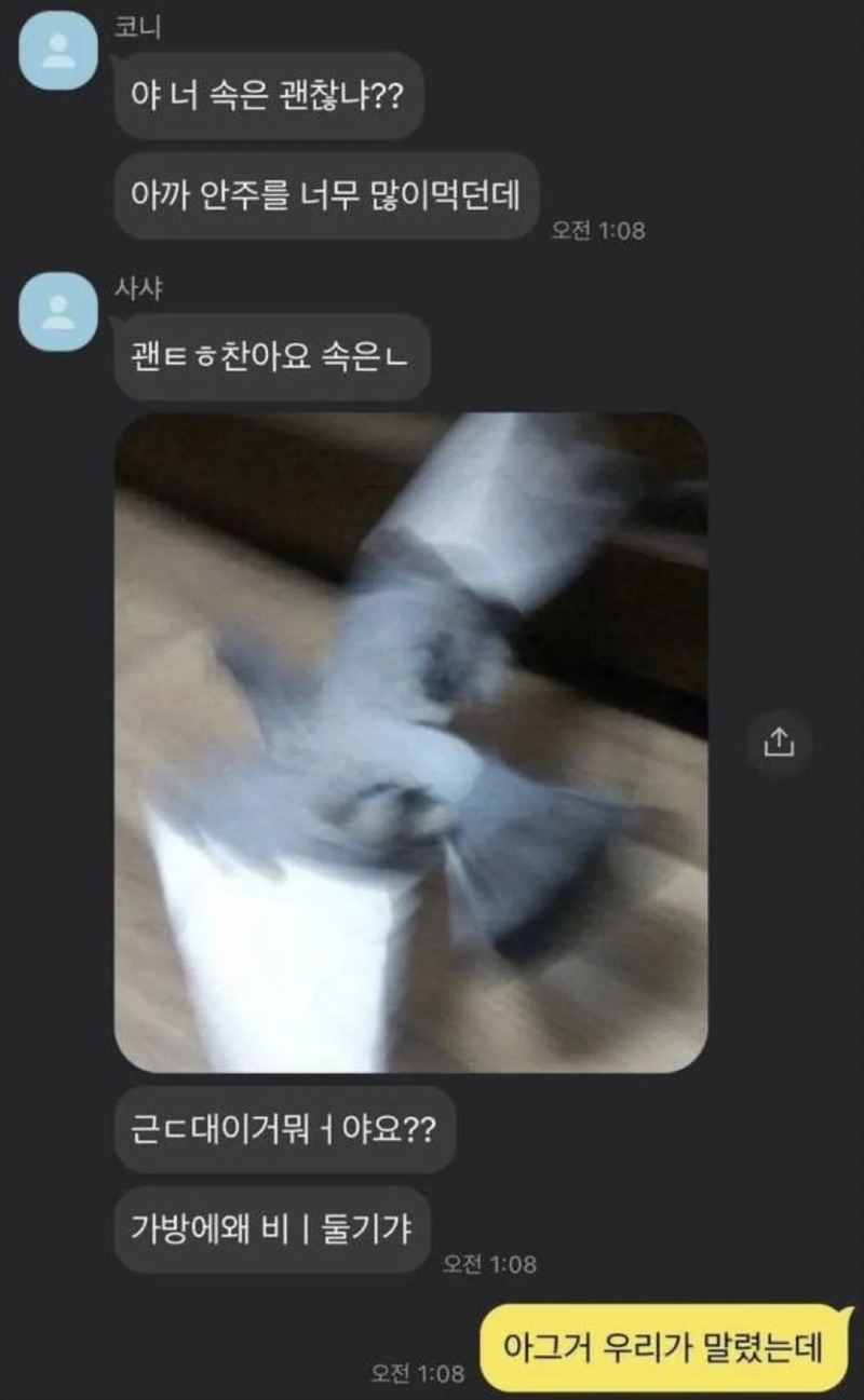비둘기 난입