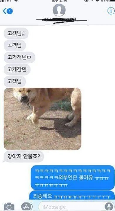 고객님 강아지 무나요?