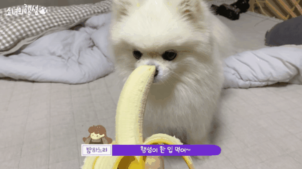 한 입 차이!