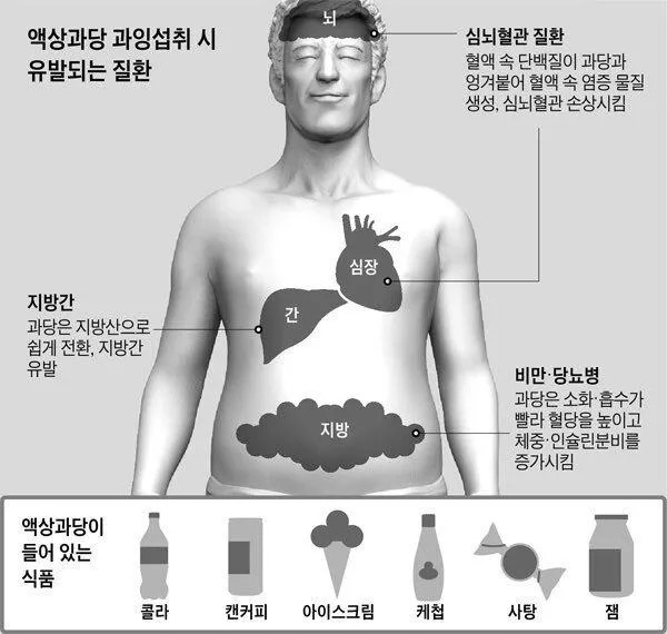 현대인들 비만원인 1순위