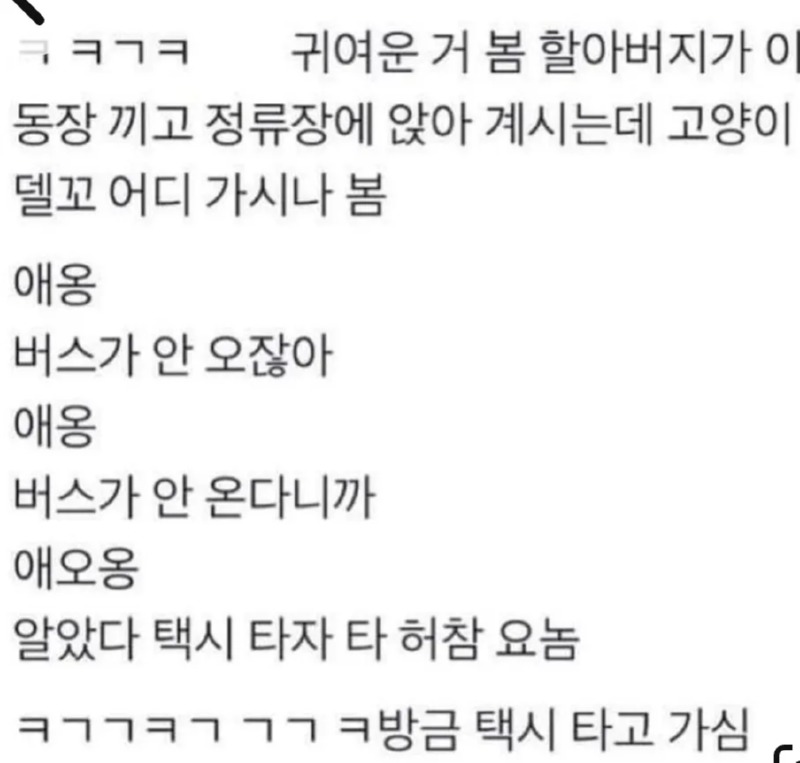 인간을 조종하는 고양이