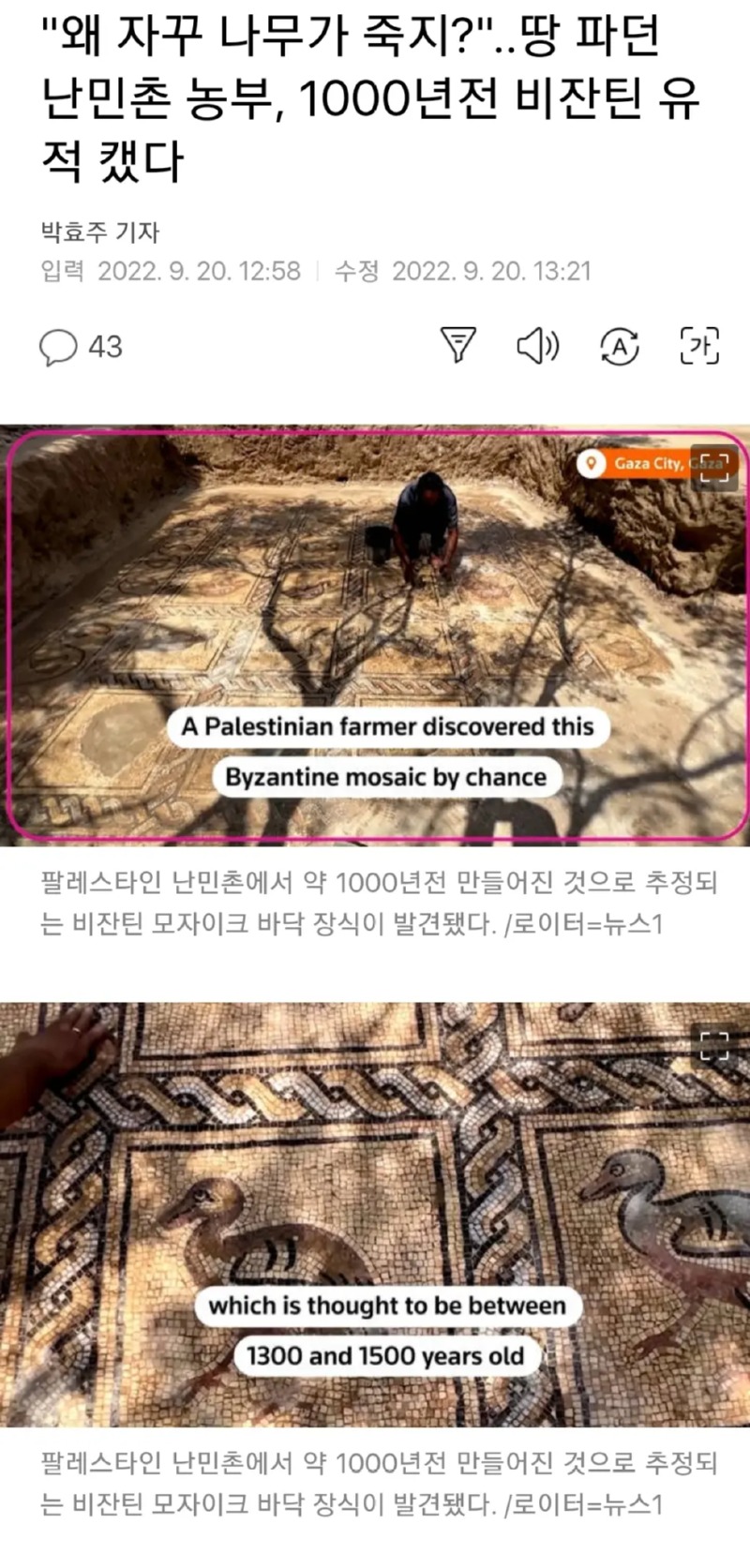 나무가 자꾸 죽어서 땅을 파본 농부.news
