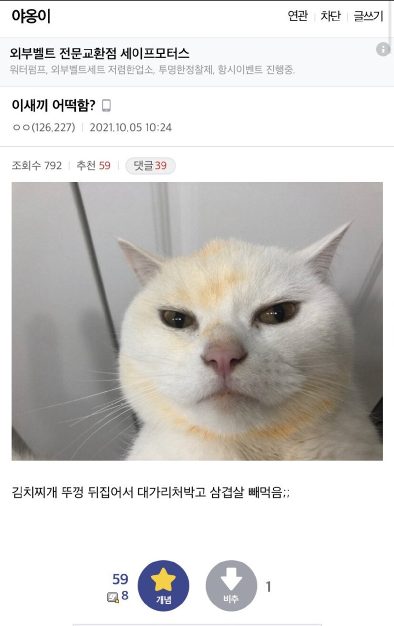 뭐 어쩌라고??? 혼낼거냐?? 