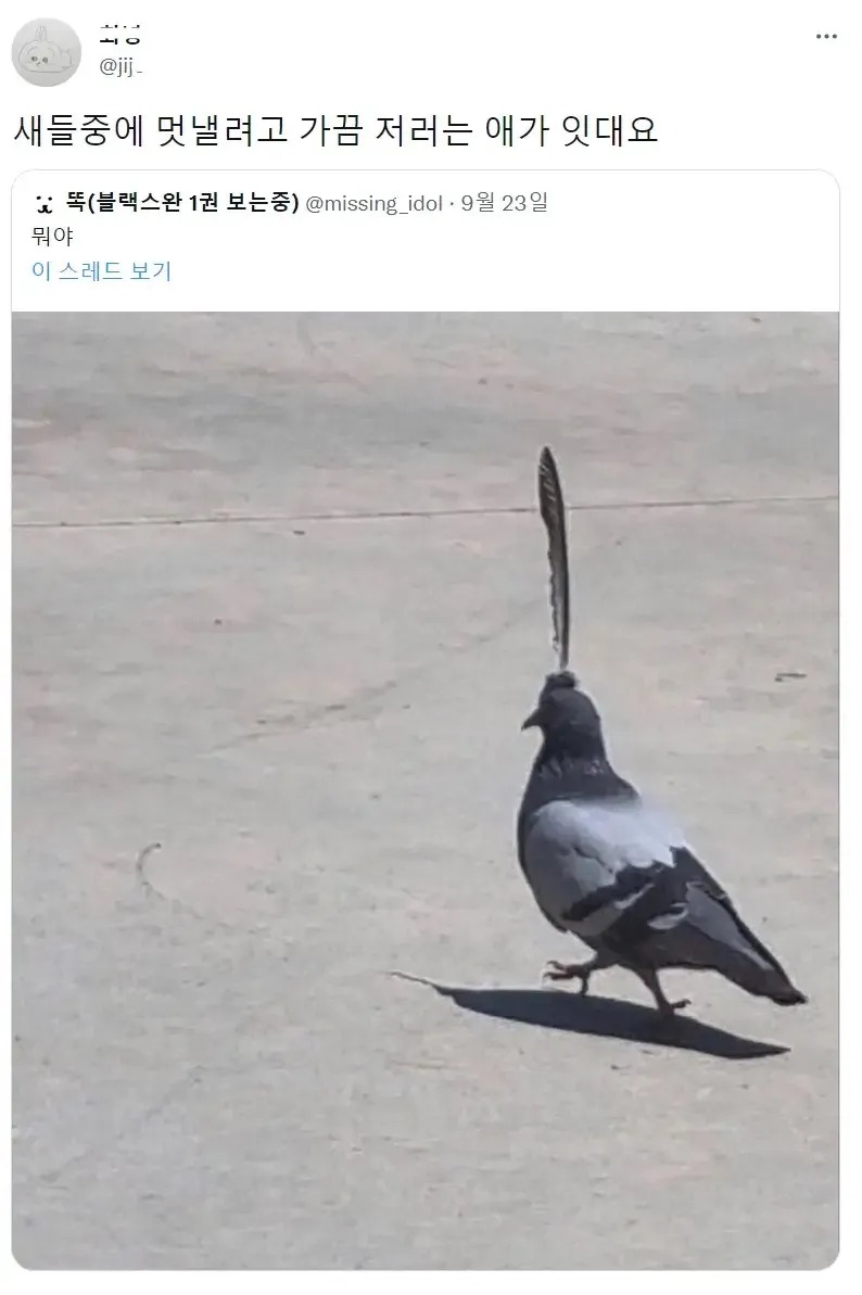 아아...「이것」 말이냐..??