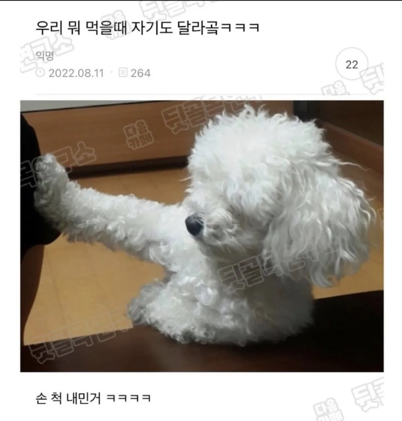 야 니네만먹냐?? 