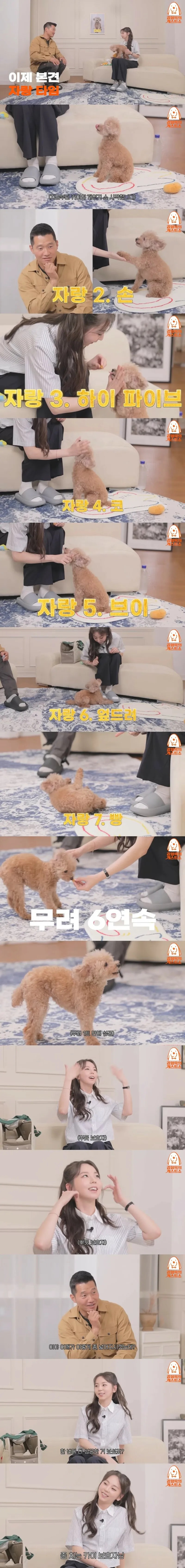 개뿌듯한 소희