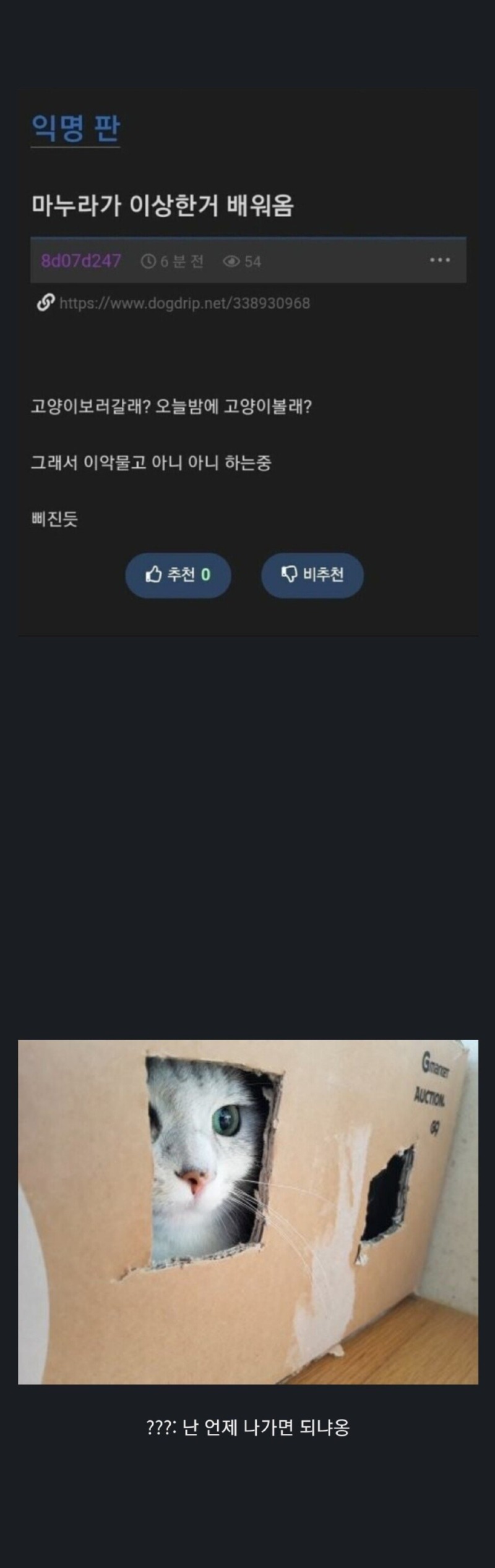 어디서 이상한거 배워온 마누라