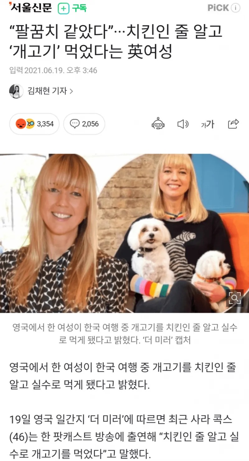한국여행 중 치킨인줄 알고 먹었는데 개고기였다.news