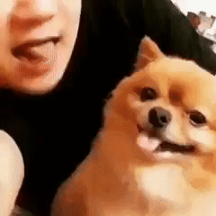 눈치왕 김멍멍