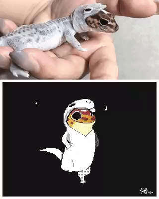 탈피를 하는 모습이 마치 