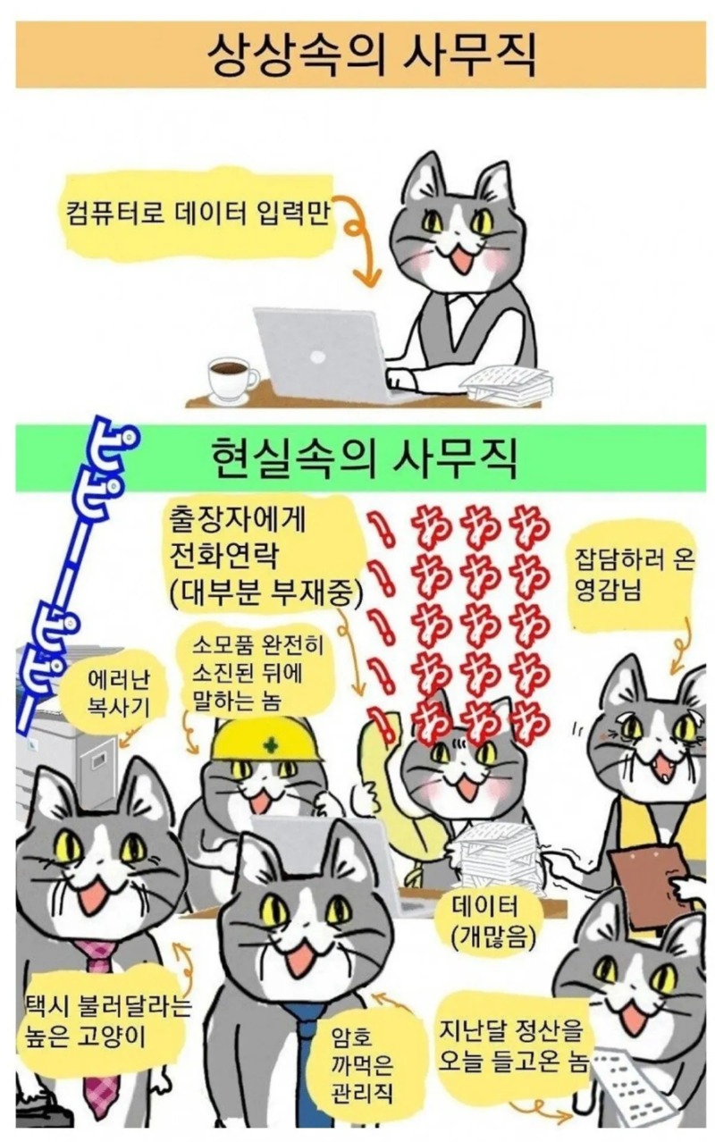사무직에 대한 상상과 현실 